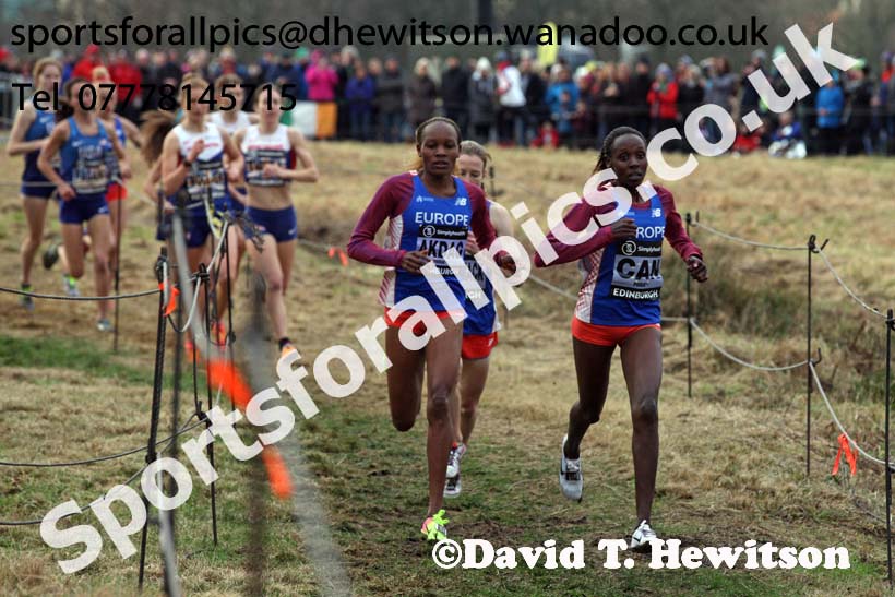 Senior womens Great Edinburgh Cross Country, 2017 Great Edinburgh Cross Country. Photo: David T. Hewitson/Sports for All PIcs